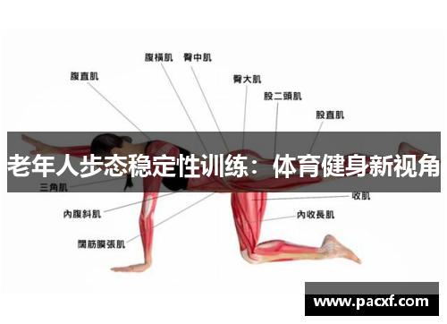 老年人步态稳定性训练：体育健身新视角